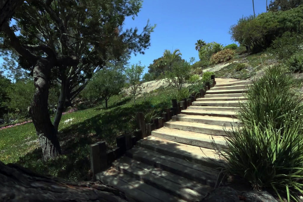 COMM2075 - Apartment exterior grounds