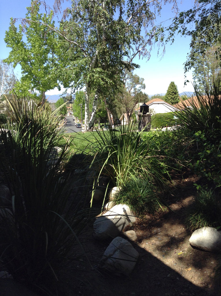 Contemporary - CONT2030