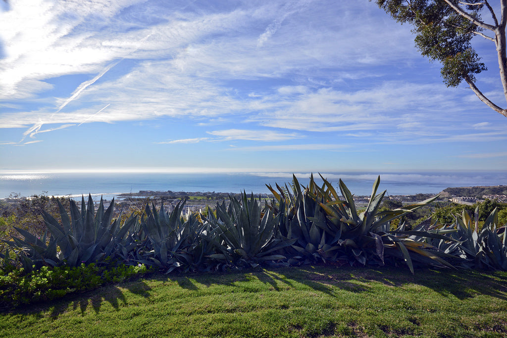 Contemporary - CONT2038