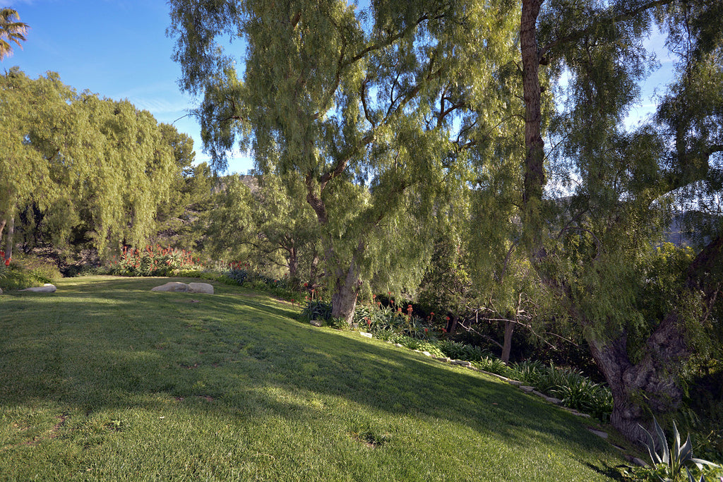 Contemporary - CONT2038