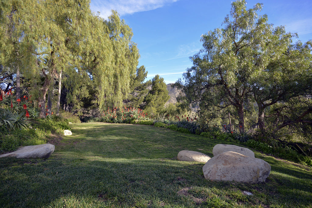 Contemporary - CONT2038