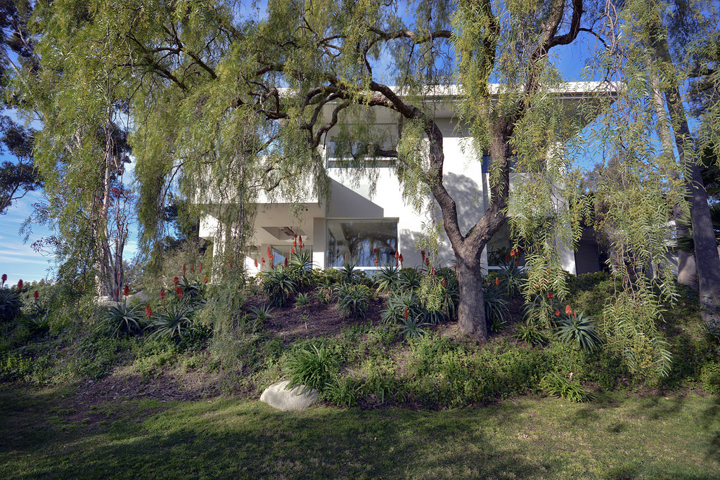 Contemporary - CONT2038