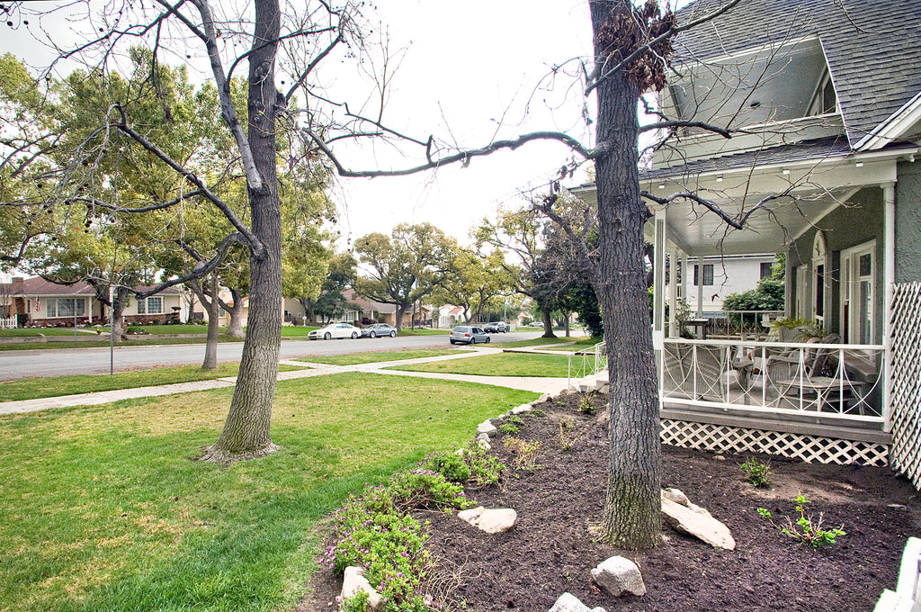 Victorian - ARCH2028