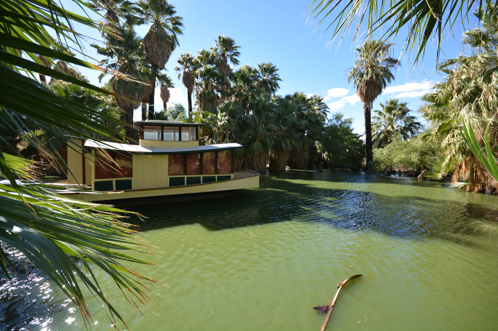 JoshuaTree - DesertInn2022