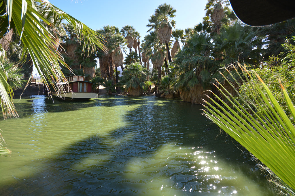 JoshuaTree - DesertInn2022