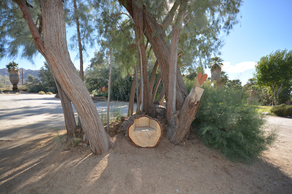 JoshuaTree - DesertInn2022