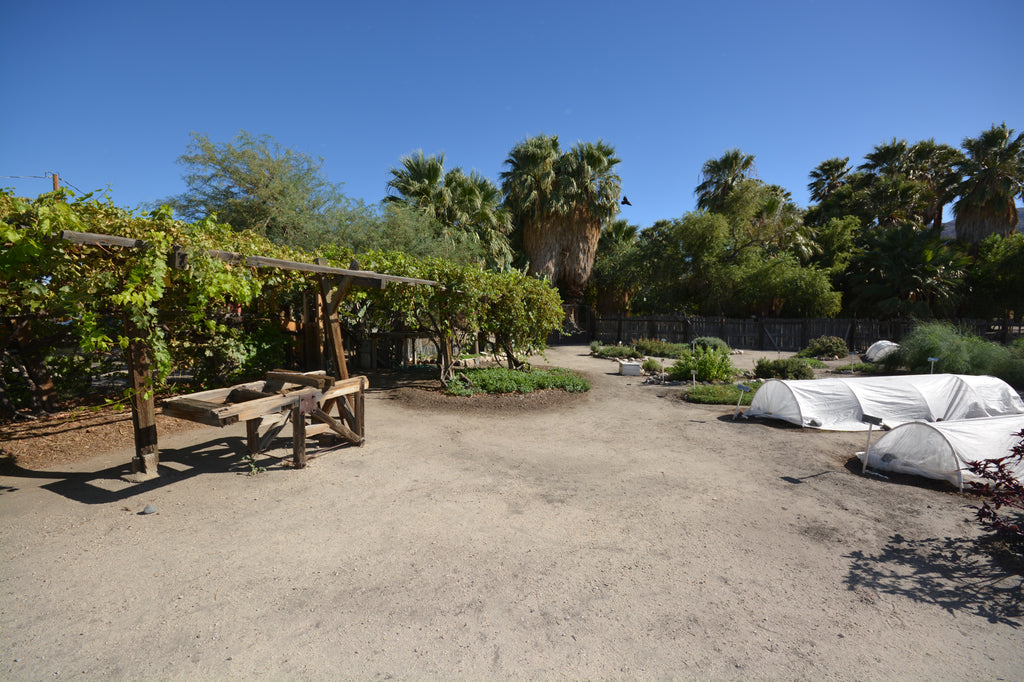 JoshuaTree - DesertInn2022