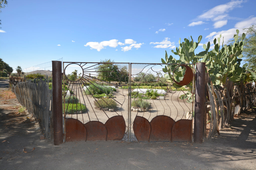 JoshuaTree - DesertInn2022