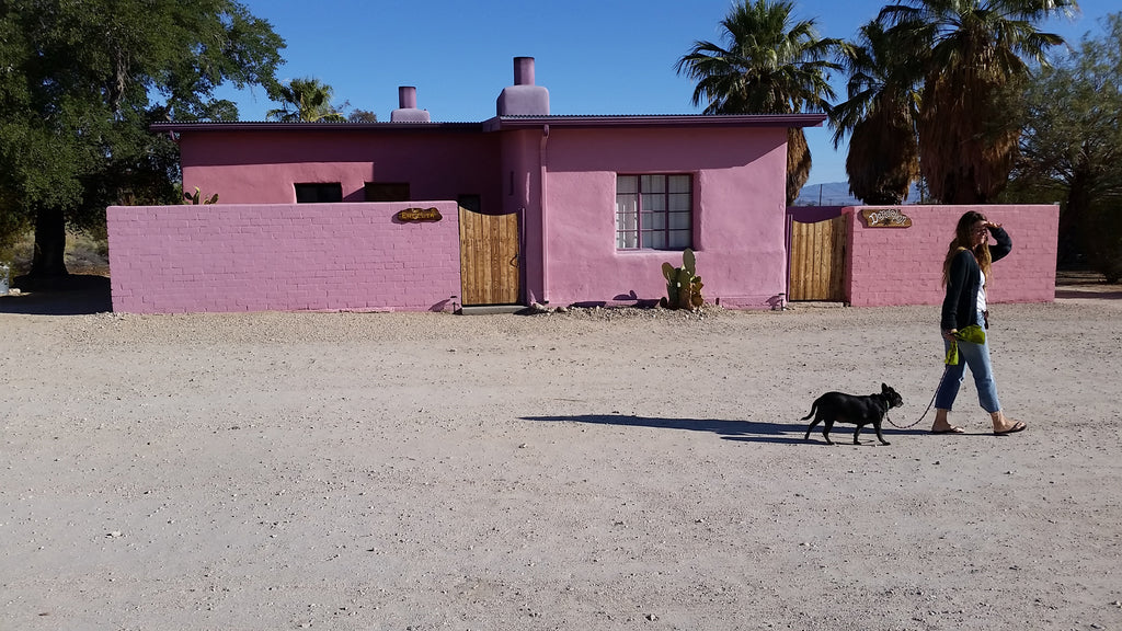 JoshuaTree - DesertInn2022