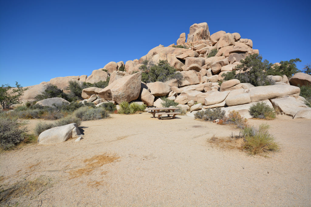 JoshuaTree - DesertInn2022