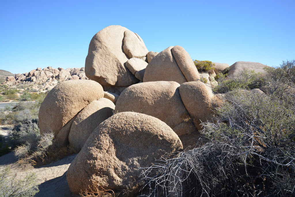 JoshuaTree - DesertInn2022