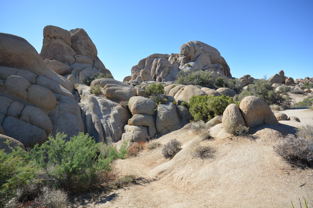 JoshuaTree - DesertInn2022