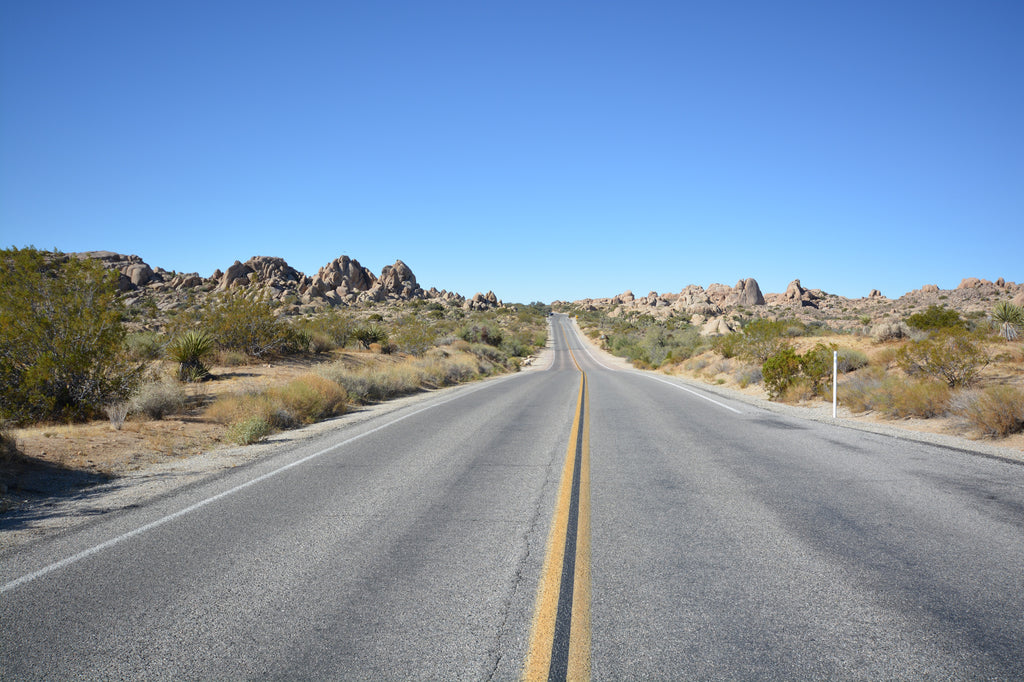 JoshuaTree - DesertInn2022