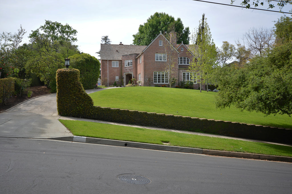 English Country - ENG2023