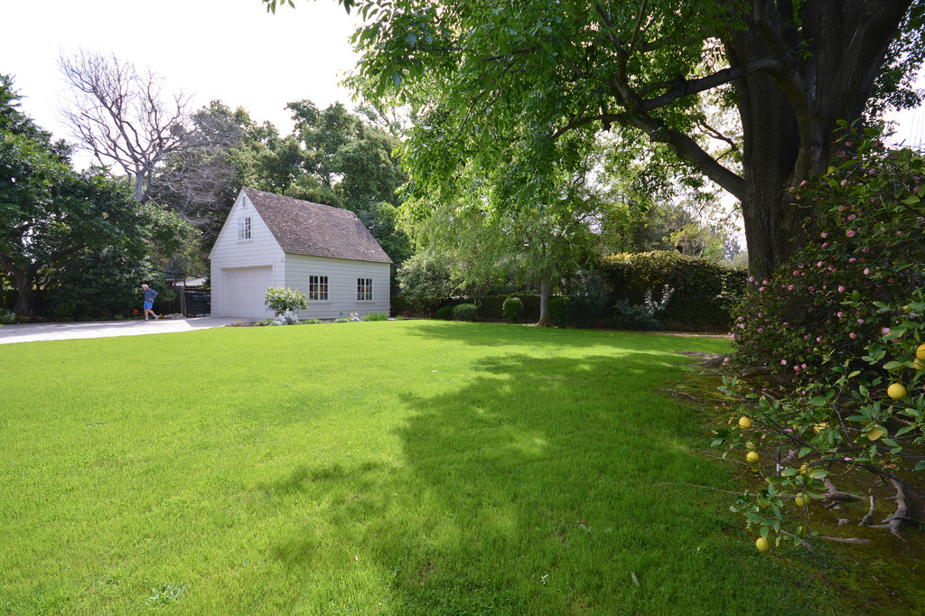 English Country - ENG2023