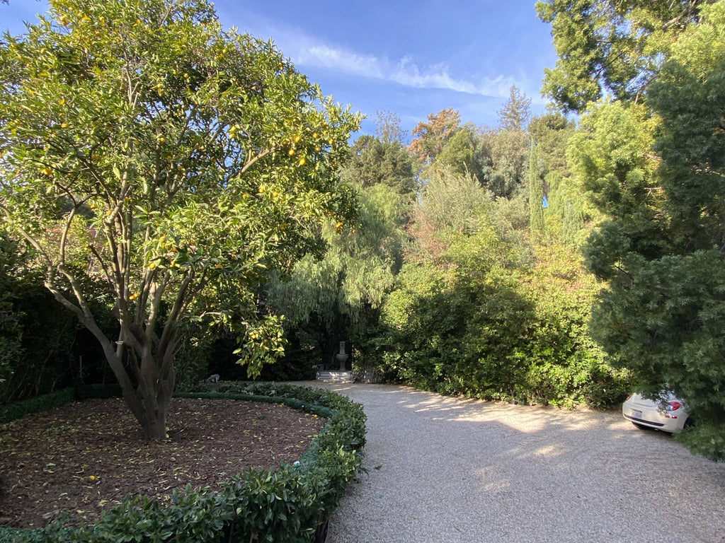 English Country - ENG2024