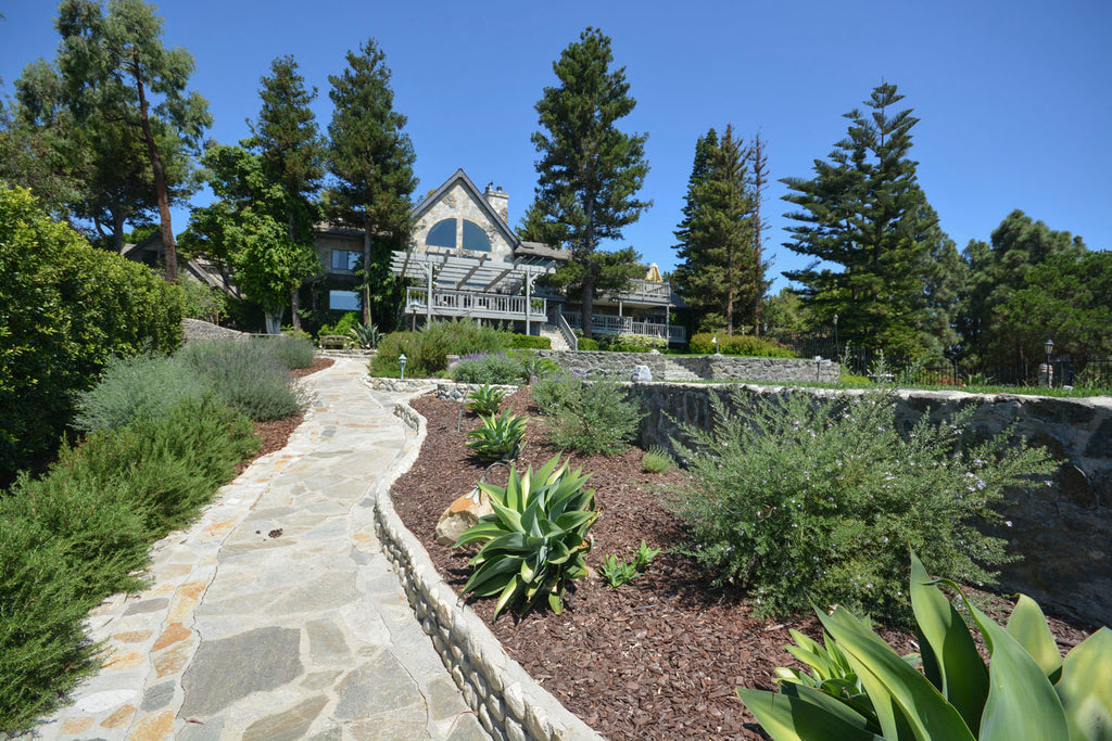 English Tudor - ENG6219