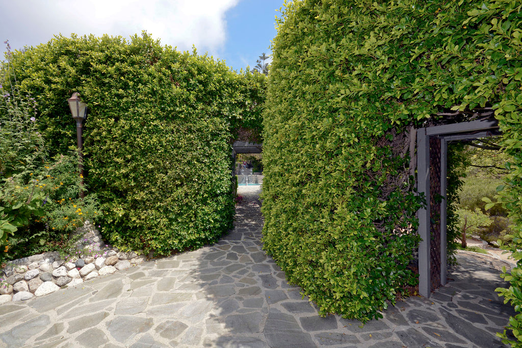 English Tudor - ENG6219