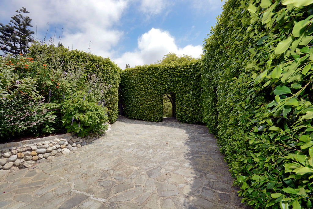 English Tudor - ENG6219