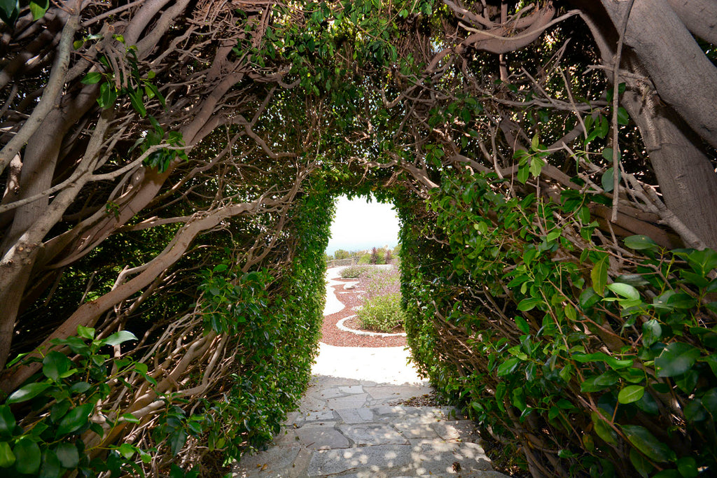 English Tudor - ENG6219