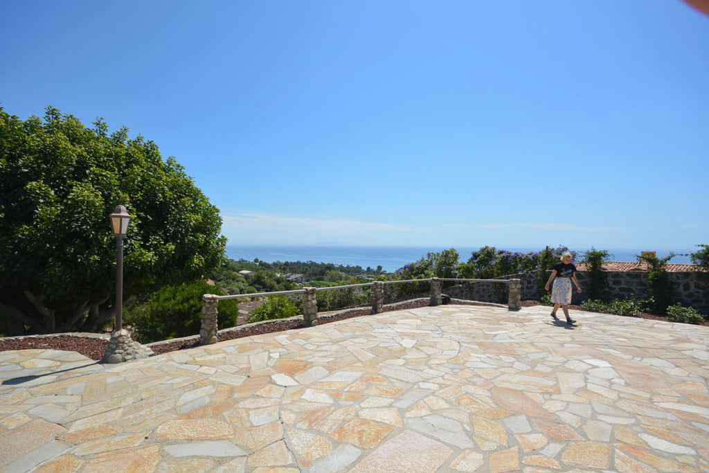 English Tudor - ENG6219