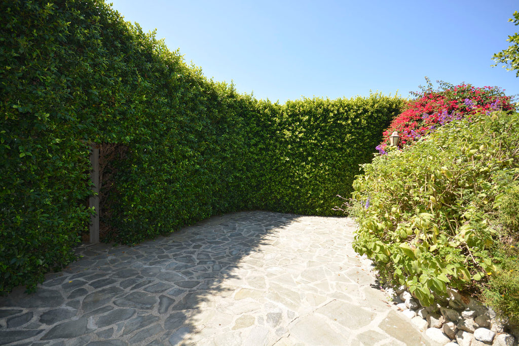 English Tudor - ENG6219