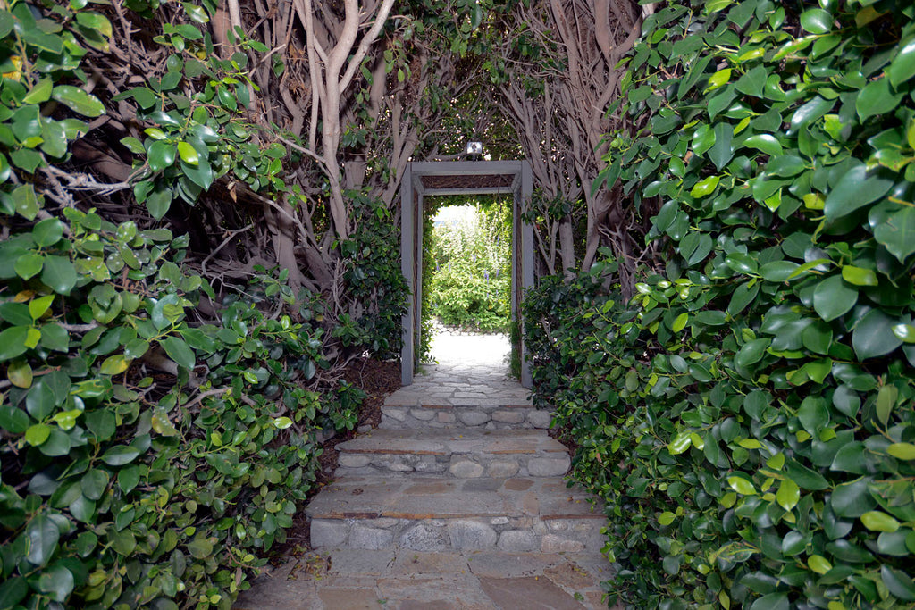 English Tudor - ENG6219