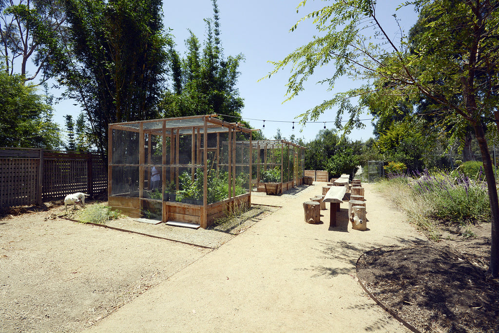 French Country - FR2024