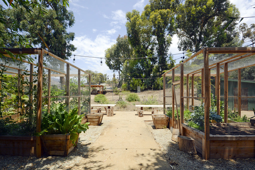 French Country - FR2024