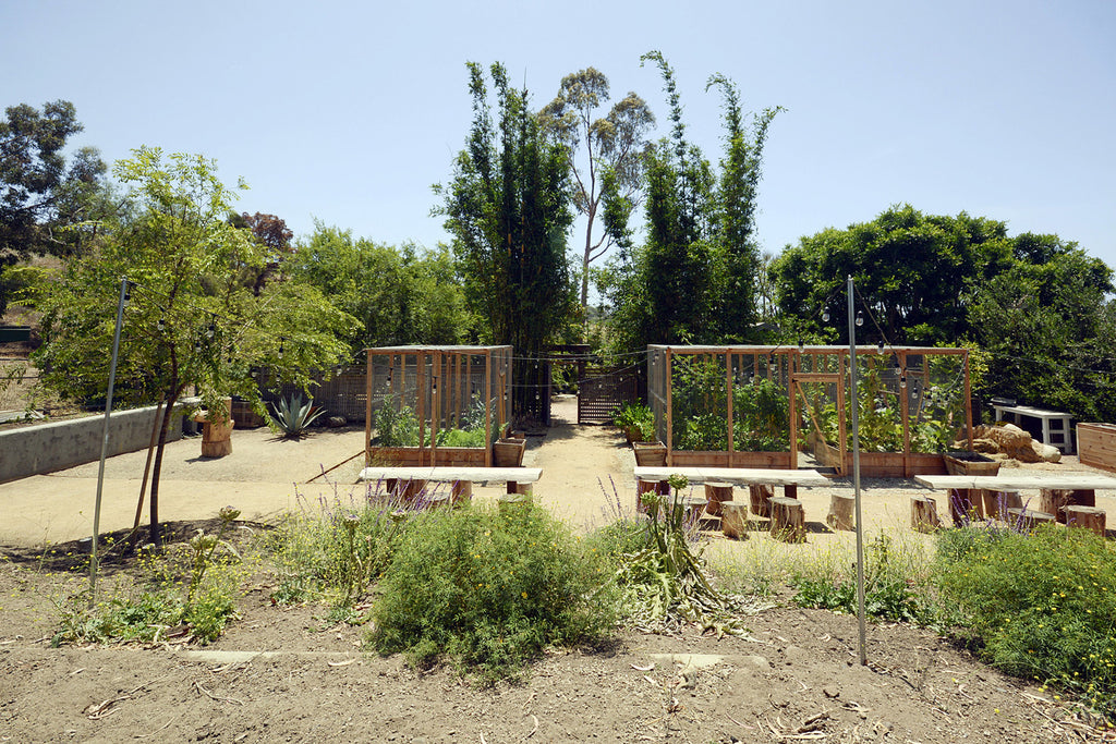 French Country - FR2024