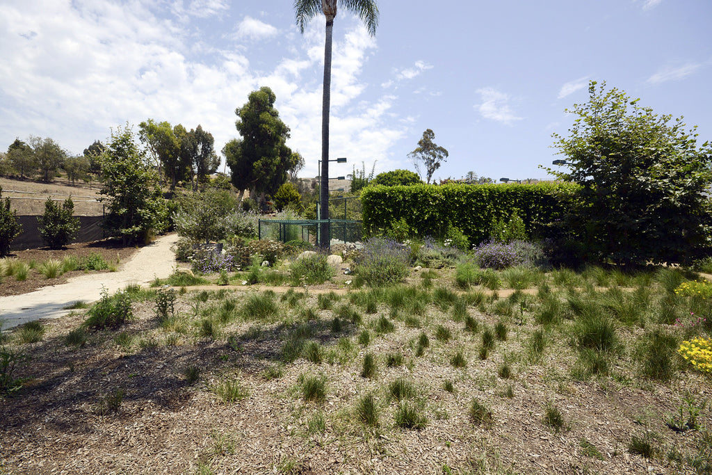 French Country - FR2024