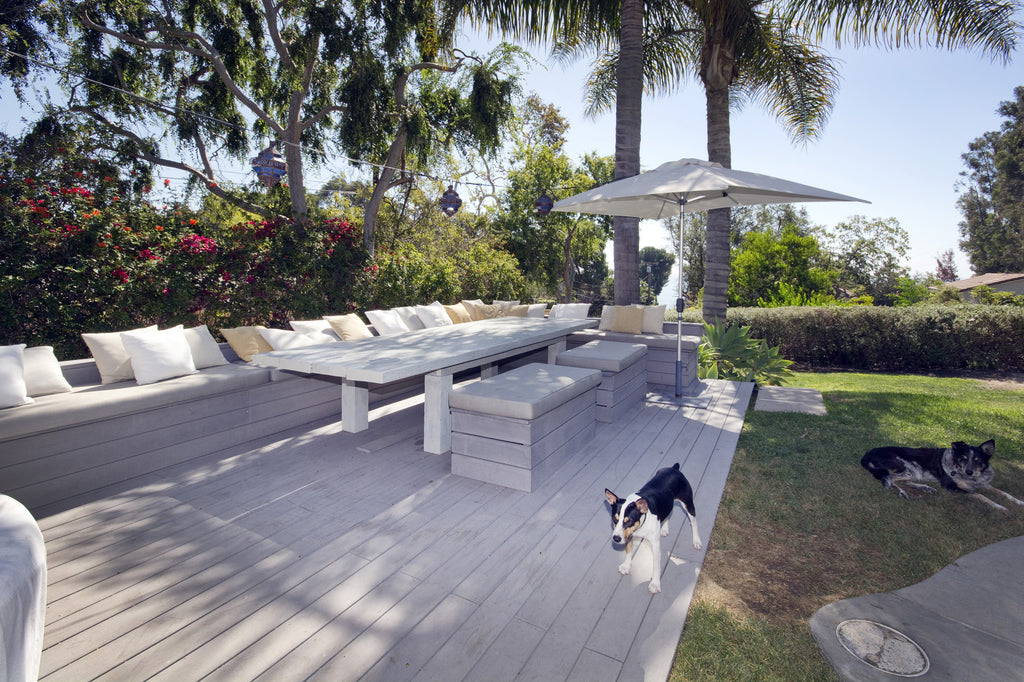 Mid Century - MID2022