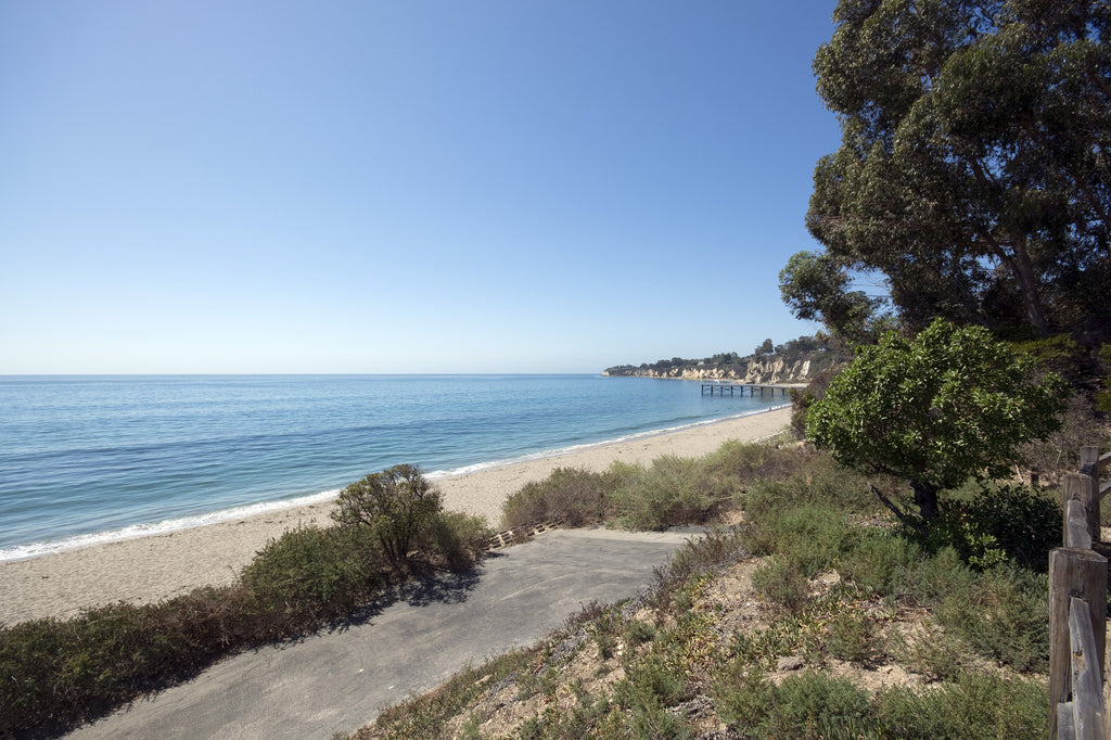 Mid Century - MID2022