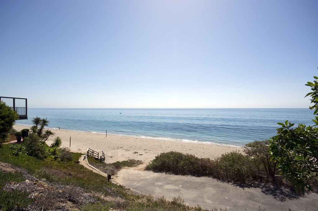 Mid Century - MID2022