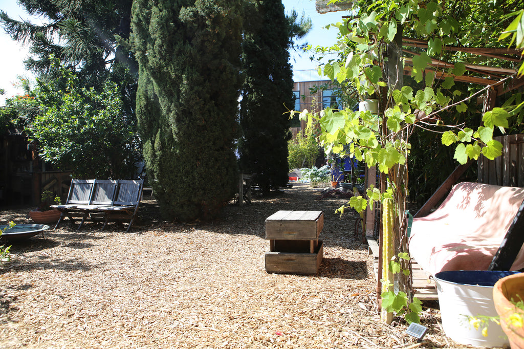 Mid Century - MID2035