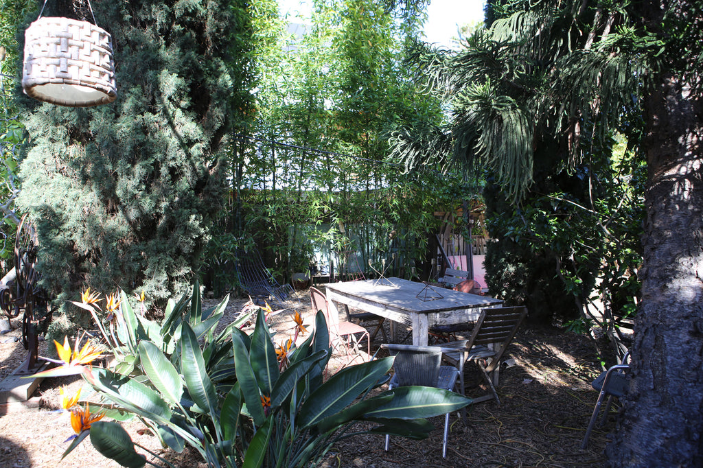 Mid Century - MID2035