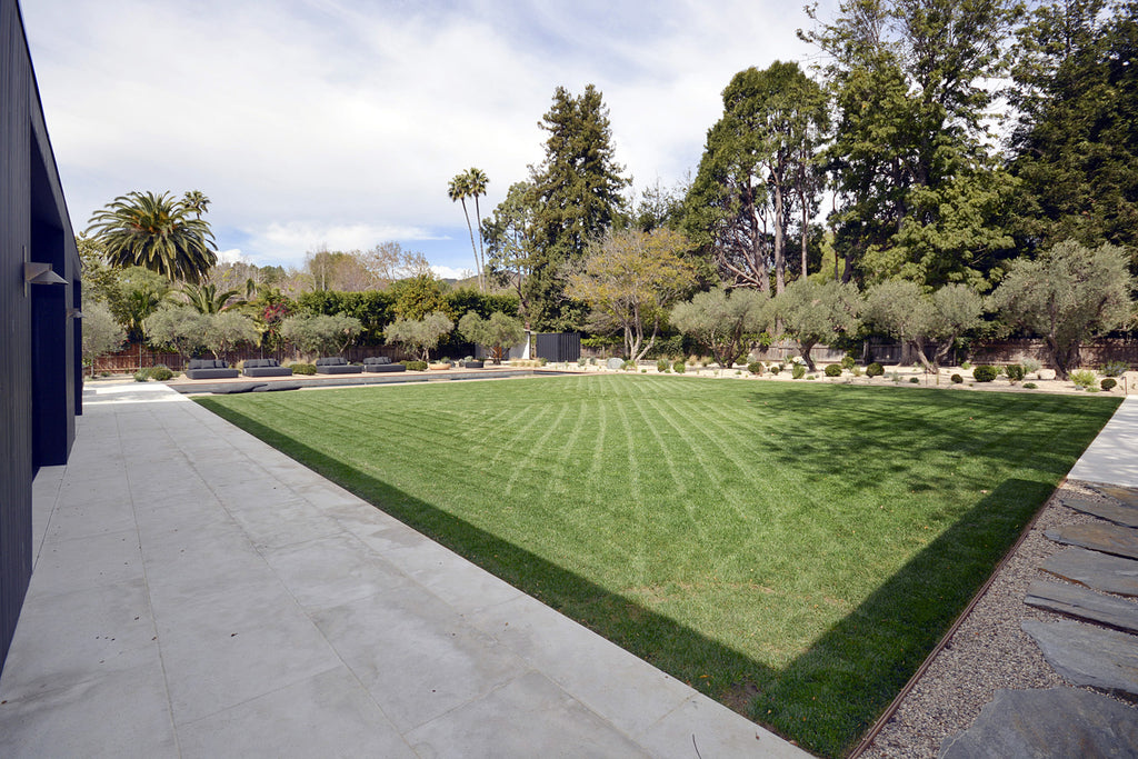 Mid Century - MID2039