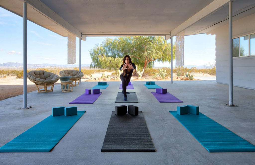 Joshua Tree Mid Century - MID2040