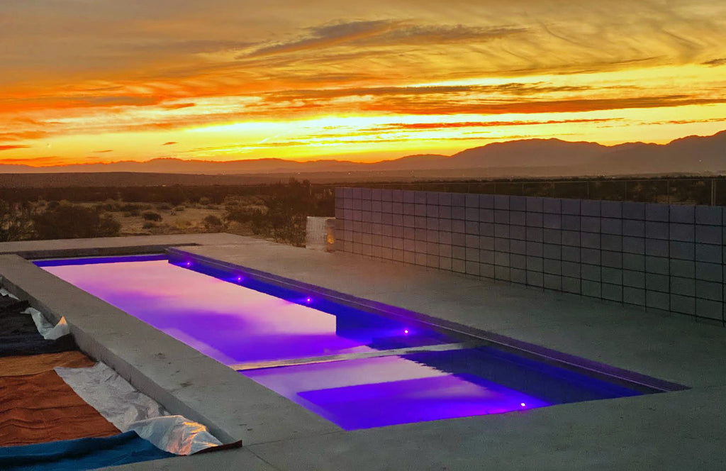 Joshua Tree Mid Century - MID2040