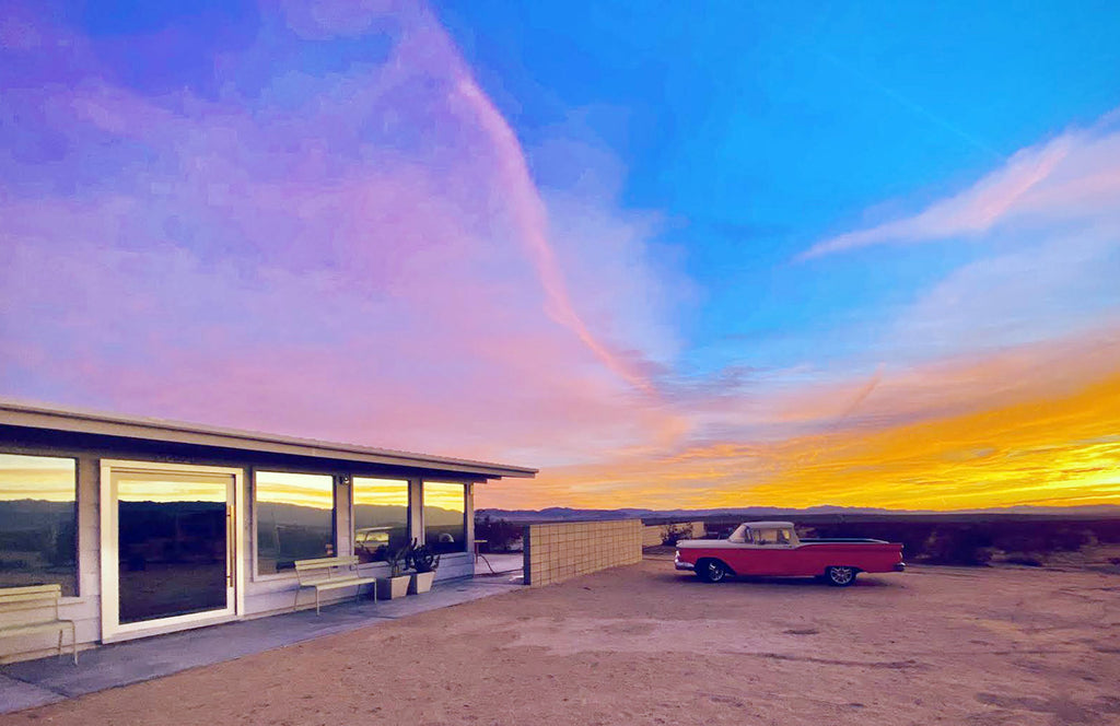 Joshua Tree Mid Century - MID2040