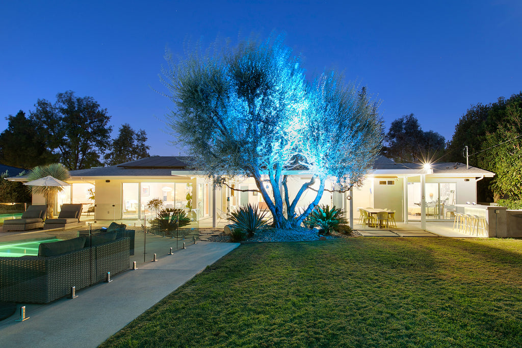 Mid Century - MID2043