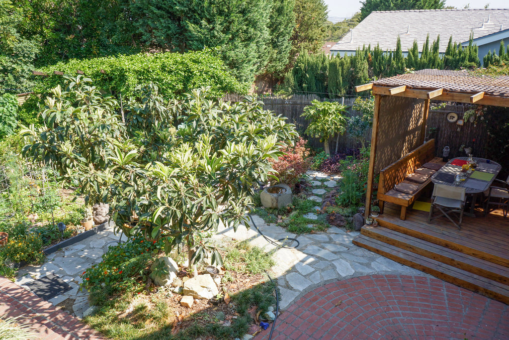 Mid Century - MID2047