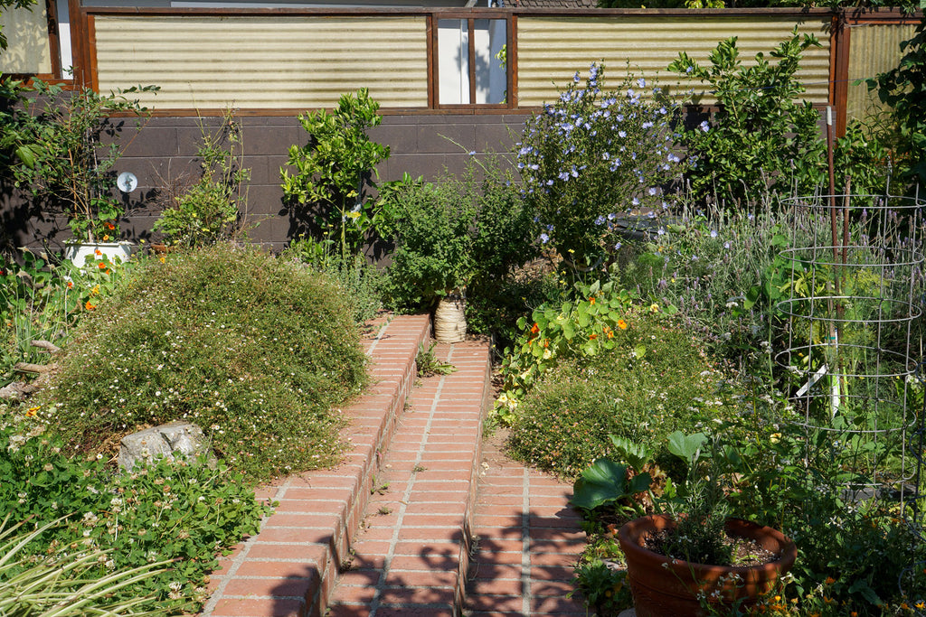 Mid Century - MID2047