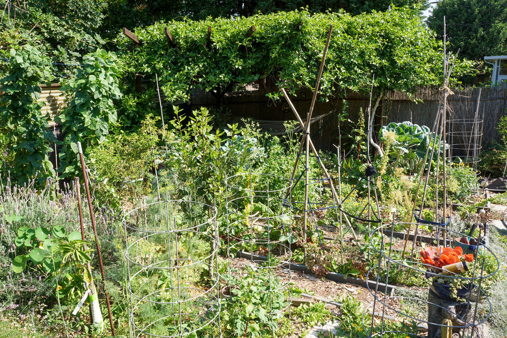 Mid Century - MID2047