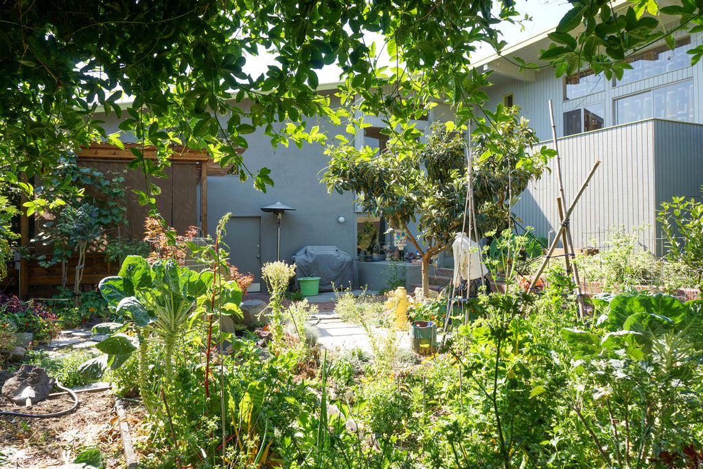 Mid Century - MID2047