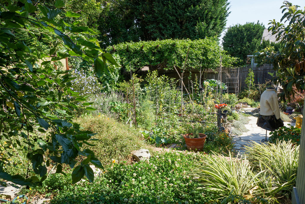 Mid Century - MID2047