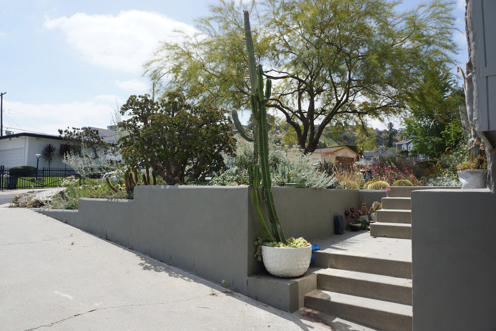 Mid Century - MID2047