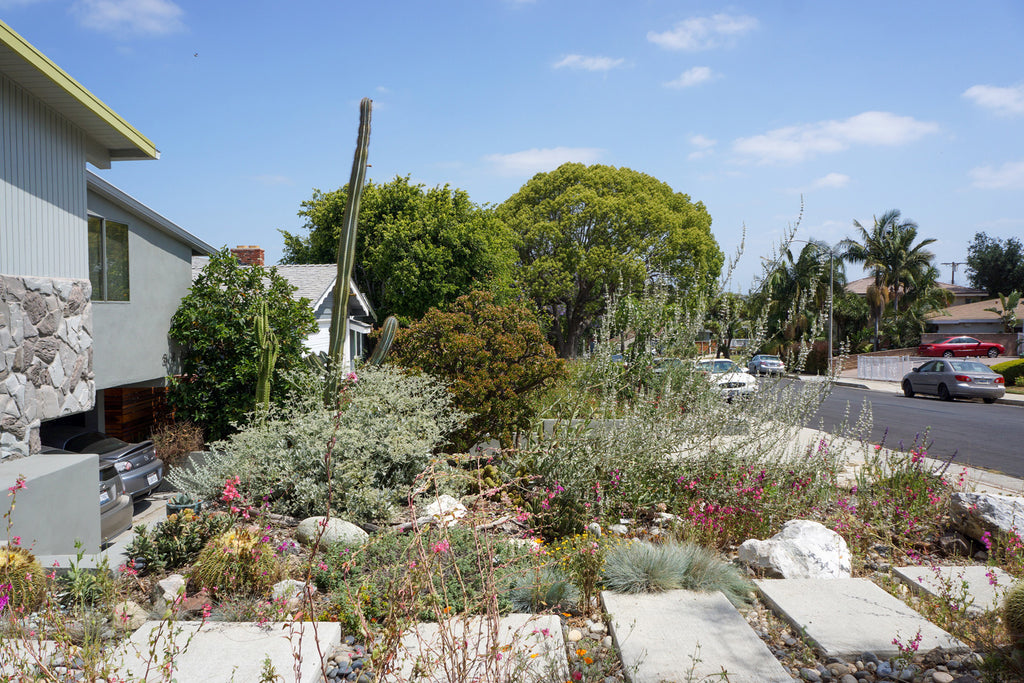 Mid Century - MID2047