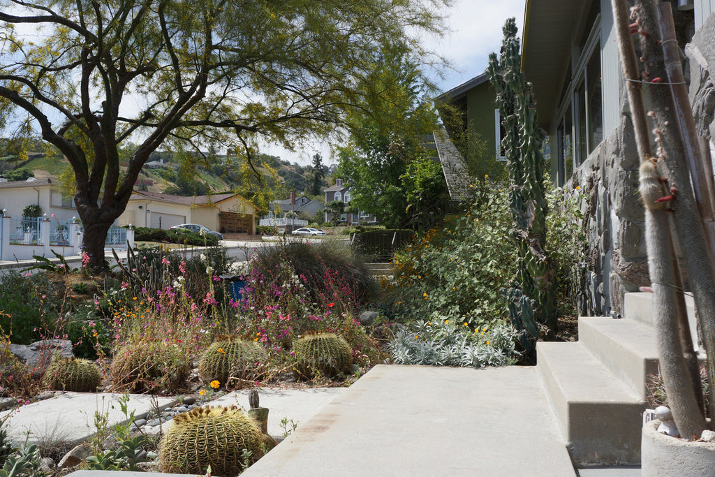 Mid Century - MID2047