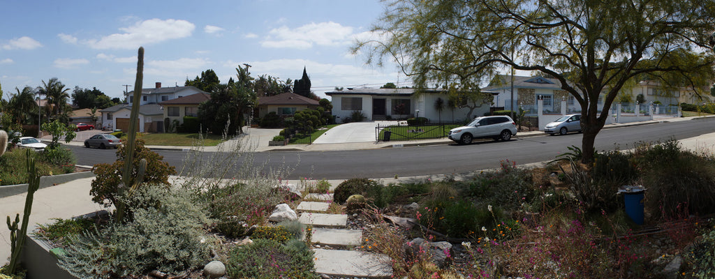 Mid Century - MID2047